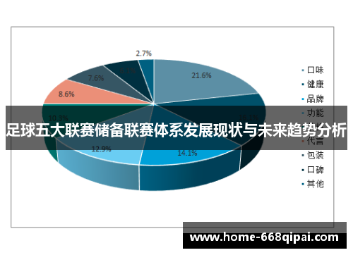 足球五大联赛储备联赛体系发展现状与未来趋势分析