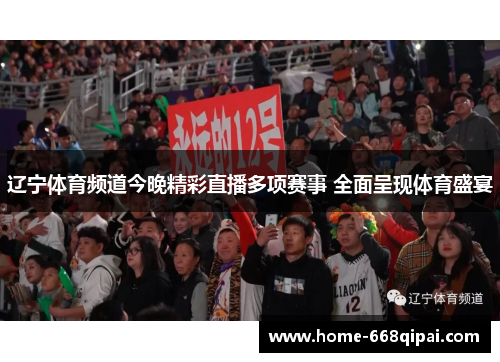 辽宁体育频道今晚精彩直播多项赛事 全面呈现体育盛宴